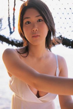 新公务员法